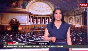 Le monde du journalisme très hostile à la loi contre les fake news - Les matins du Sénat (15/06/2018)