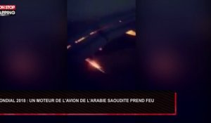 L Enorme Frayeur D Un Bebe Panda Roux Sur Orange Videos