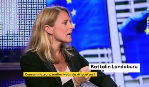 La bande de « la faute à l’Europe? » a reçu Karine Gloanec-Maurin, eurodéputée socialiste