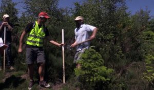 Une balade éolienne dans le Pilat