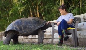 Son animal de compagnie : une tortue géante qui adore les calins