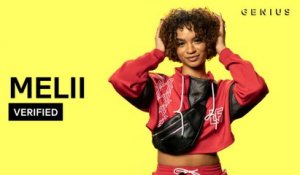 Melii "Icey" Official Lyrics & Meaning | Verified