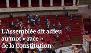 L'Assemblée dit adieu au mot "race" de la Constitution
