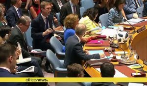 Soudan du Sud : l'ONU impose un embargo sur les armes