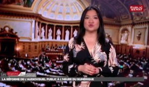 La réforme de l'audiovisuel public à l'heure du numérique - Les matins du Sénat (16/07/2018)