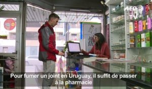 Cannabis récréatif en pharmacie: un an après, bilan en Uruguay