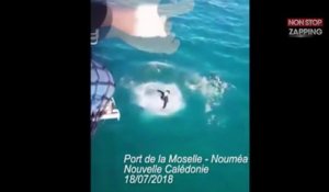 Un Français attaqué par un requin à Nouméa en Nouvelle-Calédonie (vidéo)