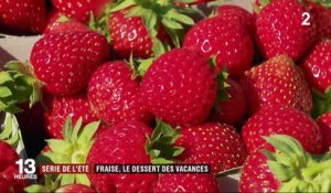 Série de l'été : la fraise de Carros, dessert des vacances