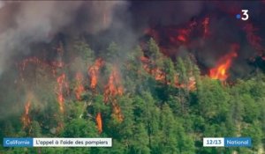 Californie : l'appel à l'aide des pompiers pour prévenir les feux de forêt