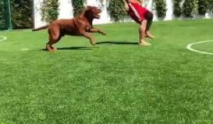 Quand Lionel Messi s'amuse avec son chien...
