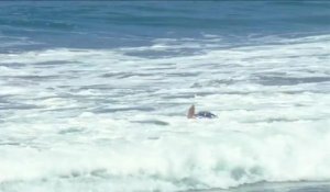Adrénaline - Surf : Vans US Open of Surfing - Men's QS, Men's Qualifying Series - Round 3 heat 3
