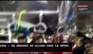 Inde : un serpent s'incruste dans le métro et sème la pagaille (Vidéo)