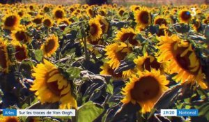 Arles : sur les traces de Vincent Van Gogh