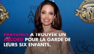 Angelina Jolie en guerre contre Brad Pitt, son avocate l’abandonne