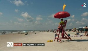 Le témoignage édifiant d'un homme attaqué par un requin en Floride - Regardez