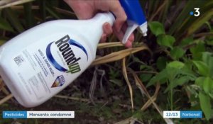 Glyphosate : Monsanto condamné après l'accusation d'un jardinier atteint d'un cancer
