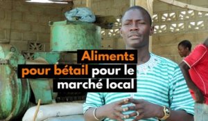 Burkina Faso : Aliments pour bétails pour le marché local