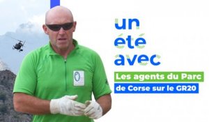 Un été avec... les agents du parc de Corse sur le GR20