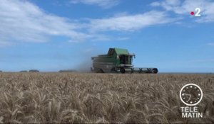 (Conso) La technologie au service de l’agriculture