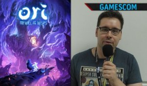 Gamescom | On a joué à Ori and the Will of the Wisps, notre avis