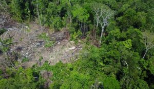 Amazonie : une tribu isolée filmée pour la première fois par un drone