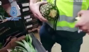 Espagne : La police met la main sur 67 kg de poudre cachée dans des ananas