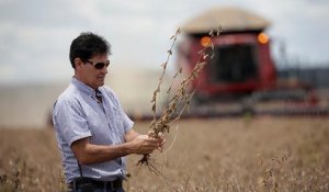 Au Brésil, le soja chasse les forêts