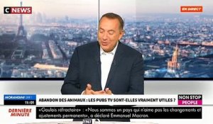 Animaux abandonnés: Le président d'une association d'aides aux animaux lance un appel au président Emmanuel Macron "Je veux des chiffres concrets, il faut que cela change, je veux des actes !"