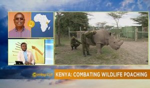 Kenya : combattre le braconnage sauvage [The Morning Call]