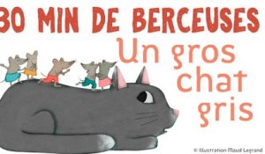 30 min de berceuses - Un gros chat gris - Jacques Haurogné et Steve Waring