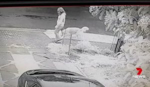 Il affiche une femme qui laisse son chien faire caca sur sa pelouse (Australie)