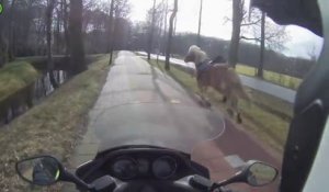 Un scooter aide cette femme à arrêter son cheval parti au galop sur cette route