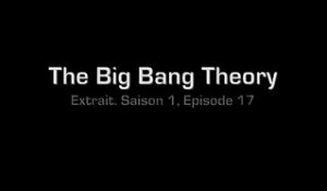 The Big Bang Theory - Le Chat de Schrödinger