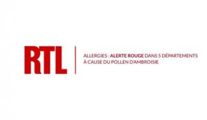 Allergies à l'ambroisie : 5 départements en alerte rouge