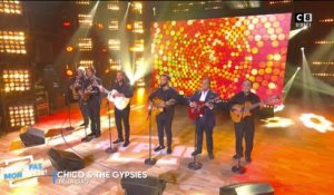 Chico & The Gypsies - Bella Ciao (Live @TPMP)