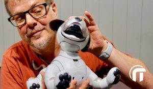 Aibo, le chien-robot, produit de niche ? (IFA2018)