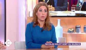 Léa Salamé dans C à vous s'exprime sur la relation entre Emmanuel Macron et Nicolas Hulot 21/11/2018