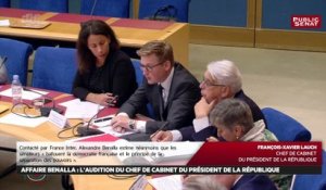 Affaire Benalla : l'audition du chef de cabinet d'Emmanuel Macron, François-Xavier Lauch
