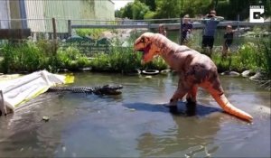 Déguisé en T-Rex, il provoque et nargue un crocodile !