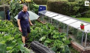 Il protège sa courge géante avec un duvet tout les soirs pour gagner un concours de légumes géants