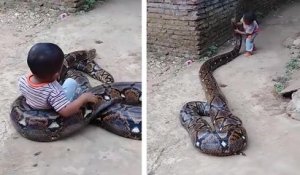 Des parents inconscient laissent leur enfant jouer avec un python