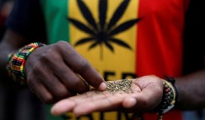 L'Afrique du Sud légalise le cannabis à titre privé