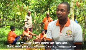 La Côte d'Ivoire se convertit au commerce équitable de cacao
