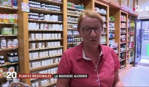 Plantes médicinales : attention aux contre-indications