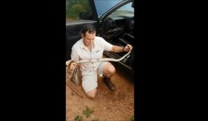 Un serpent black mamba blessé, coincé dans une voiture abandonné va etre sauvé