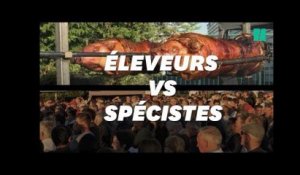Face-à-face tendu entre militants pour la cause animale et éleveurs partout en France