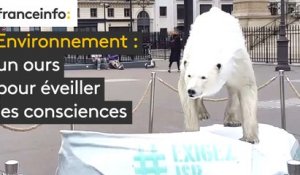 Environnement : un ours pour éveiller les consciences