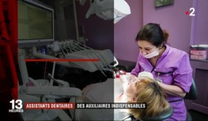 Assistants dentaires : des auxiliaires indispensables