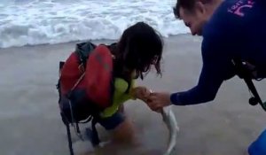 Elle se fait attraper la main par un bébé requin qui ne veut pas lacher