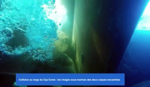 Collision au large du Cap Corse : les images sous-marines des deux coques encastrées